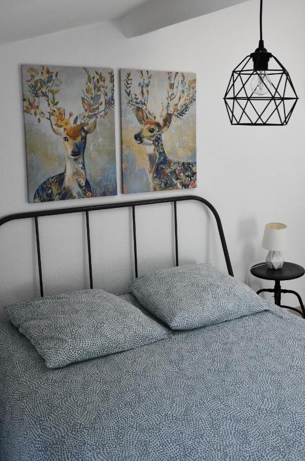 Appartement "Sacha" Au Calme En Hypercentre De Revel Revel  Luaran gambar